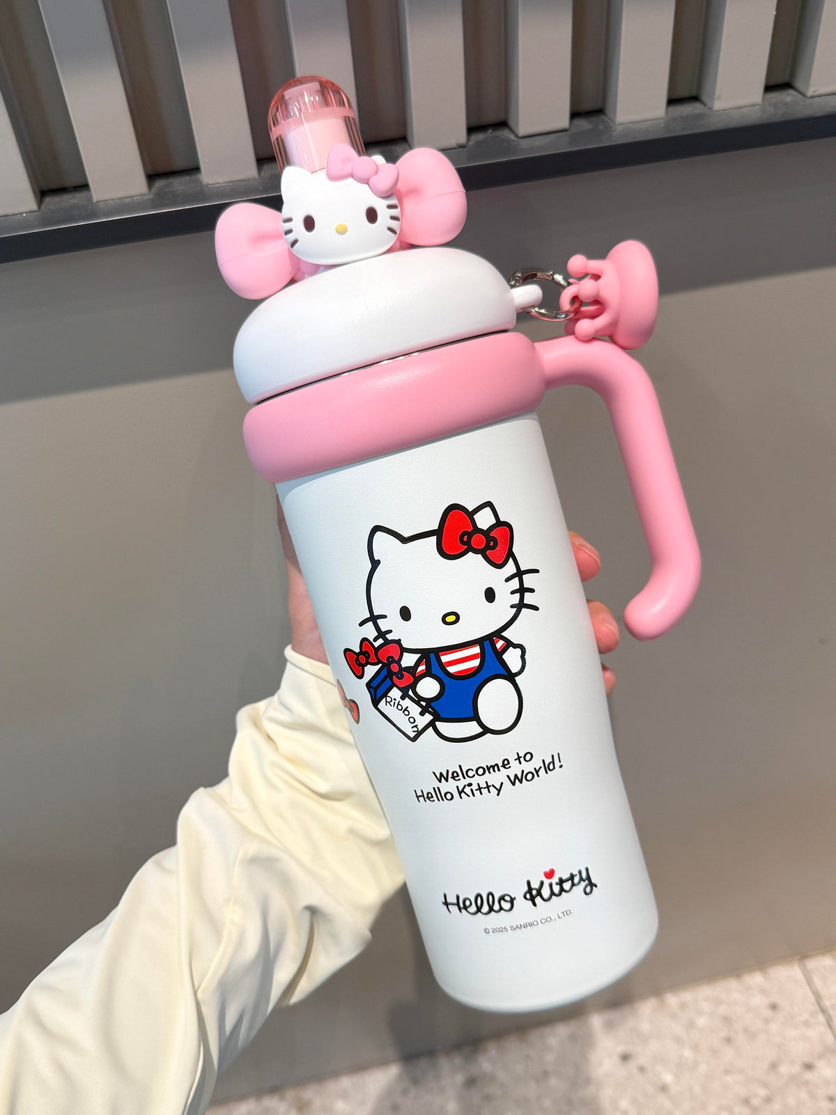 Sanrio Tumbler with Handle Stainless Steel Insulated Cup with Lid & Straw Water Bottle